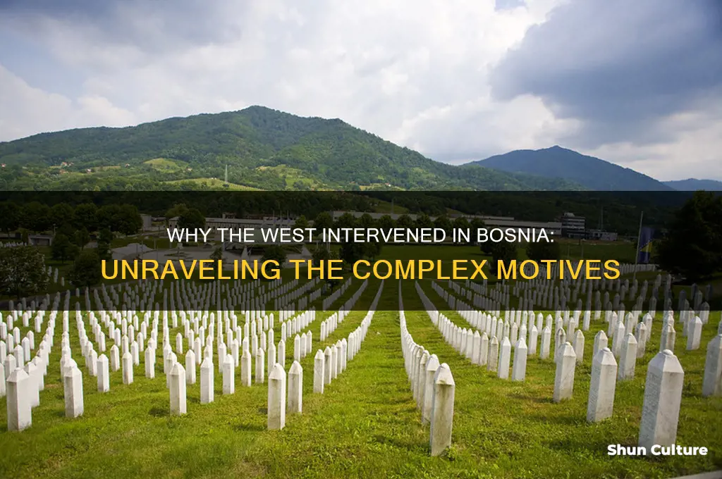 why west intervene in bosnia