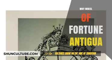Discover Antigua's Wheel of Fortune: A Tropical Gaming Paradise