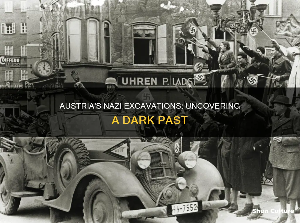 why wony austria excavate nazi sites