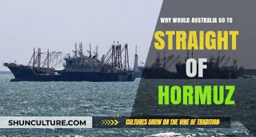Australia's Strategic Move: Strait of Hormuz Deployment Explained