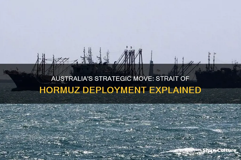 why would australia go to straight of hormuz