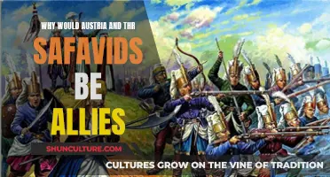 Austria-Safavid Alliance: Shared Enemies, Strategic Benefits