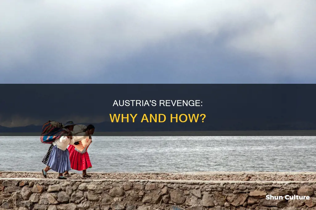 why would austria most likely to seek revenge explain