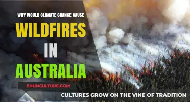 Wildfires in Australia: Climate Change's Impact Explained