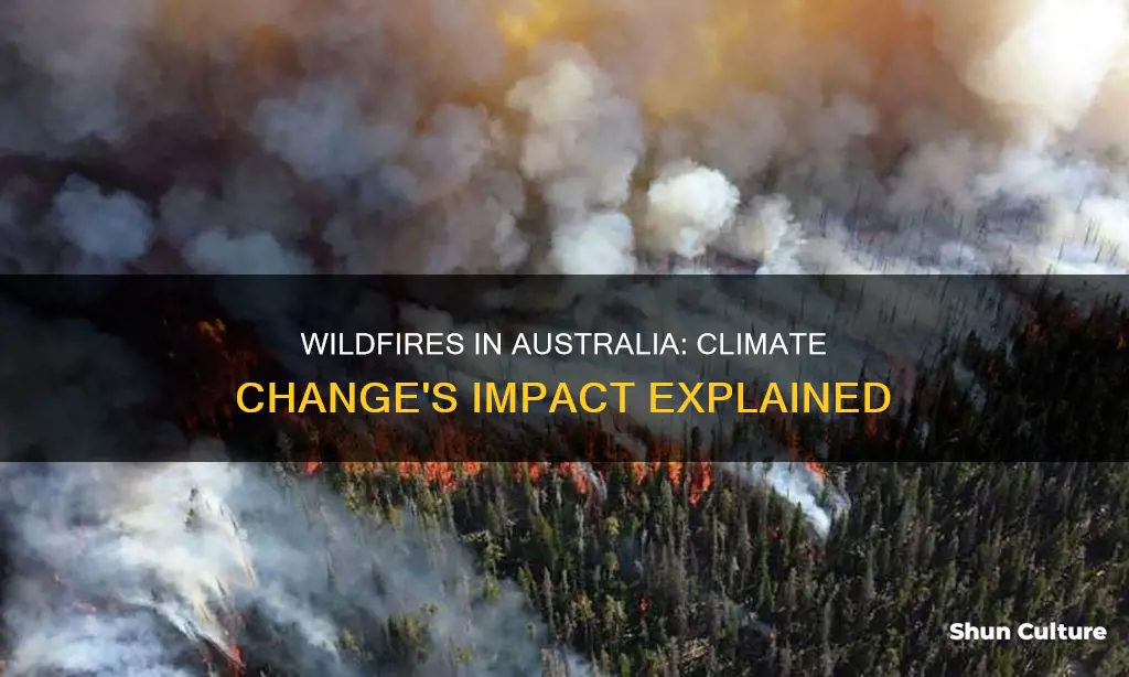 why would climate change cause wildfires in australia
