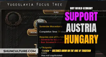 Germany's Support for Austria-Hungary: Historical Alliance Explained
