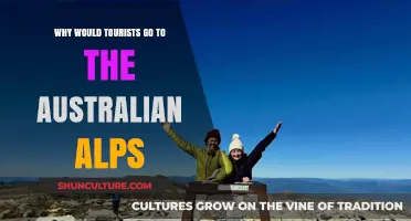 Discover the Australian Alps: A Tourist's Guide to Adventure and Beauty