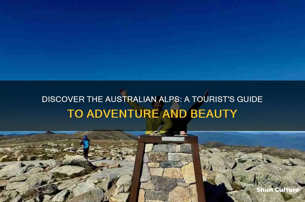 why would tourists go to the australian alps