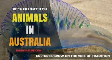 Wild Australian Animals: Don't Touch, Stay Safe