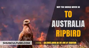 Avoid Australia: The Shocking Truth About Ripbirds and Dangers