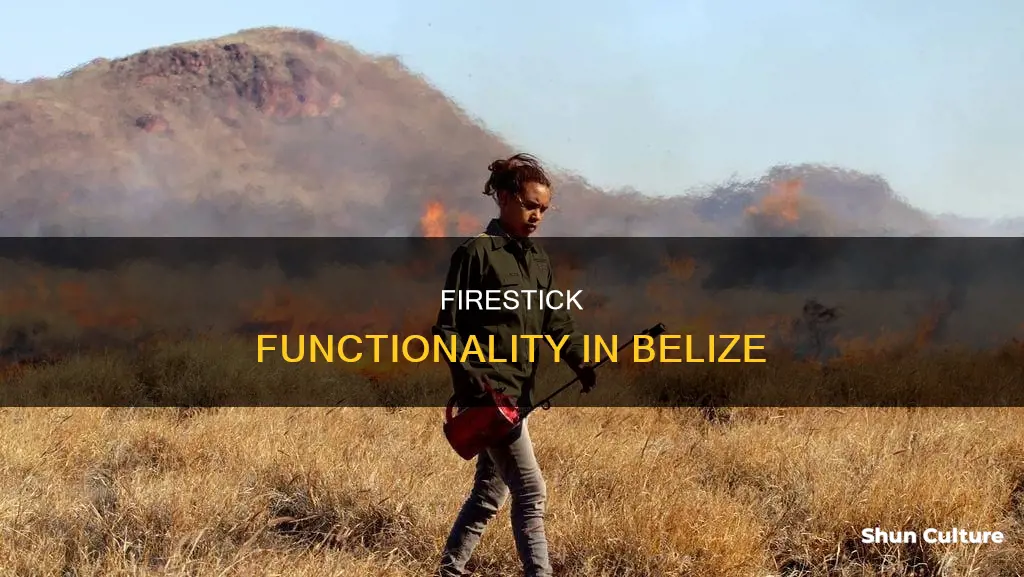 will a firestick work in belize