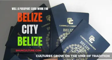 Passport Card: Belize City Entry?