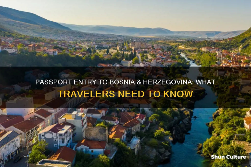 will a passport suffice for entry into bosnia & herzegovina