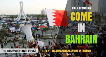 Bahrain's Future: Revolution or Evolution?