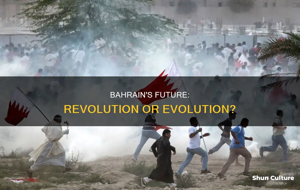 will a revolution come in bahrain