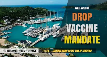 Antigua's Vaccine Mandate: Will Travel Restrictions Soon Be Lifted?