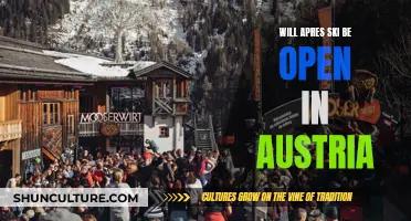 Apres-Ski in Austria: What's the Future Like?