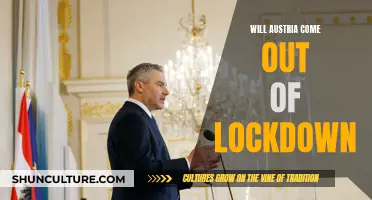 Austria's Lockdown: What's Next?