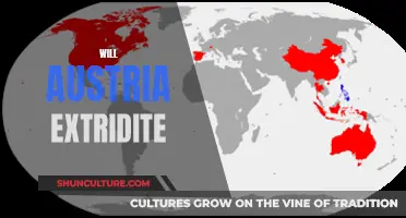 Austria's Extradition Law: Complexities and Challenges