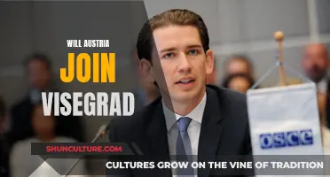 Austria's Future: Joining the Visegrad Group?