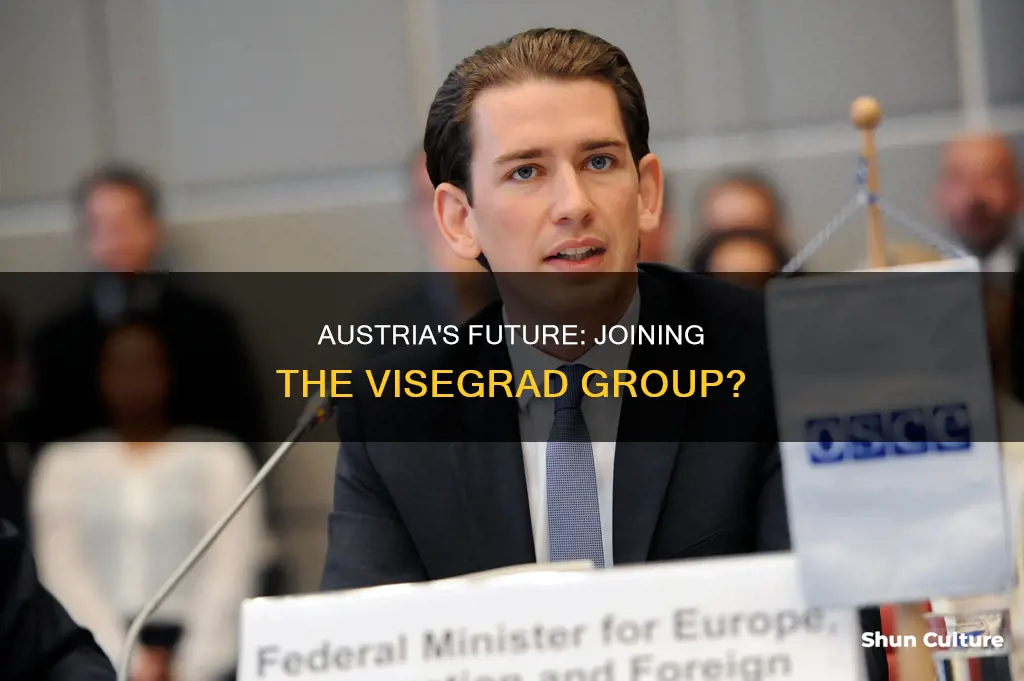 will austria join visegrad