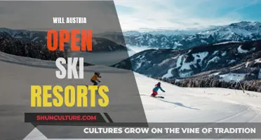 Austria's Ski Resorts: Open for Business?