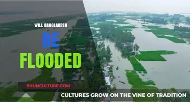 Bangladesh's Flood Future: Climate Change Threats and Resilience Strategies