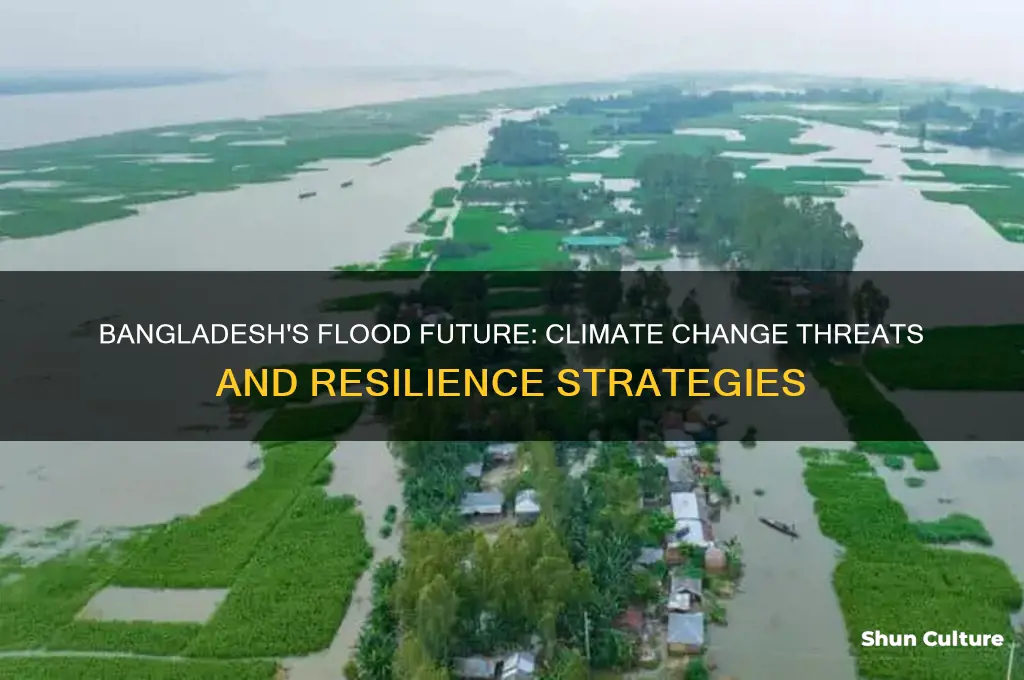 will bangladesh be flooded