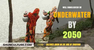 Bangladesh's Future: Will Rising Seas Submerge the Nation by 2050?