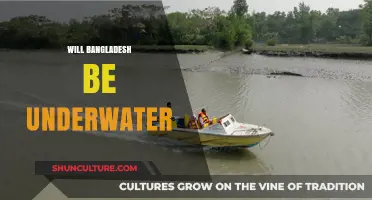 Bangladesh's Future: Rising Seas Threaten to Submerge the Nation