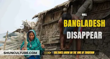 Bangladesh's Future: Will Rising Seas Swallow the Nation?