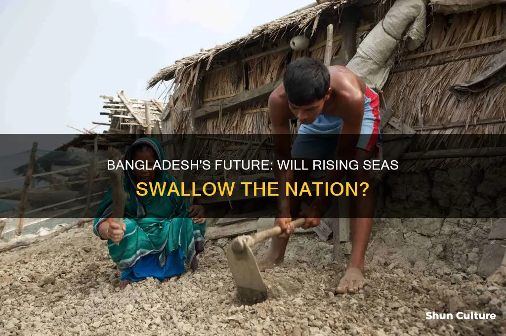 will bangladesh disappear