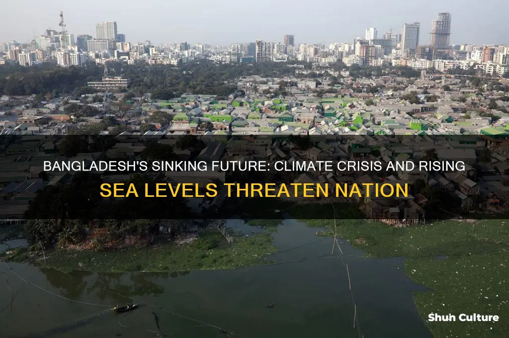 will bangladesh drown