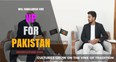 Bangladesh-Pakistan Relations: Will History Repeat Itself or Forge a New Path?