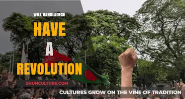 Bangladesh's Future: Revolution or Reform? A Critical Analysis