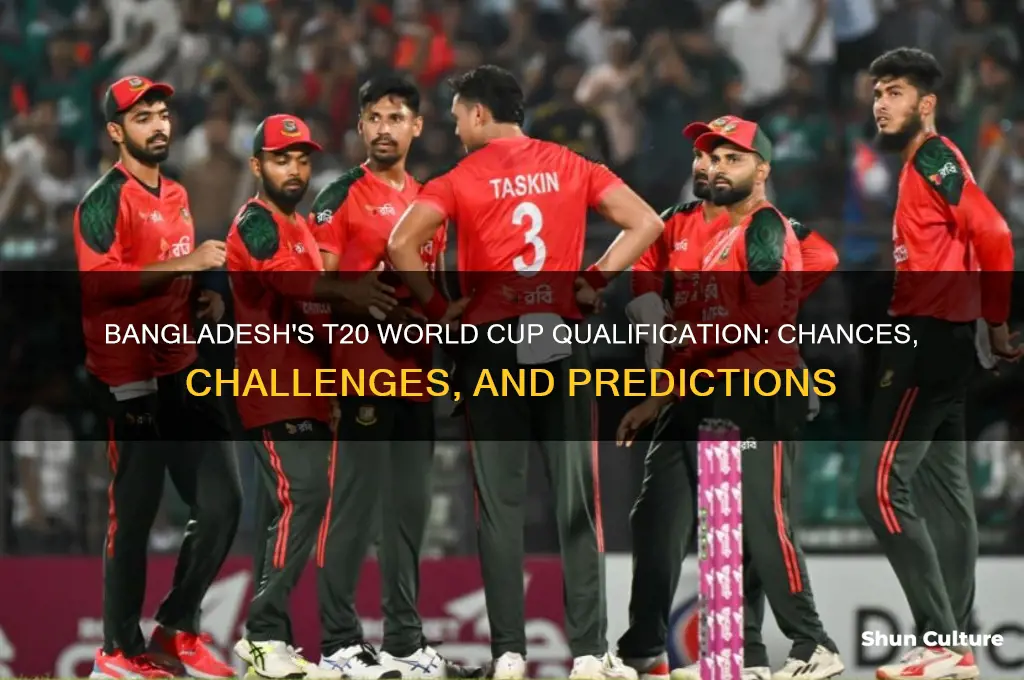 will bangladesh qualify for t20 world cup