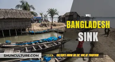 Bangladesh's Sinking Crisis: Climate Change, Rising Seas, and Survival Strategies