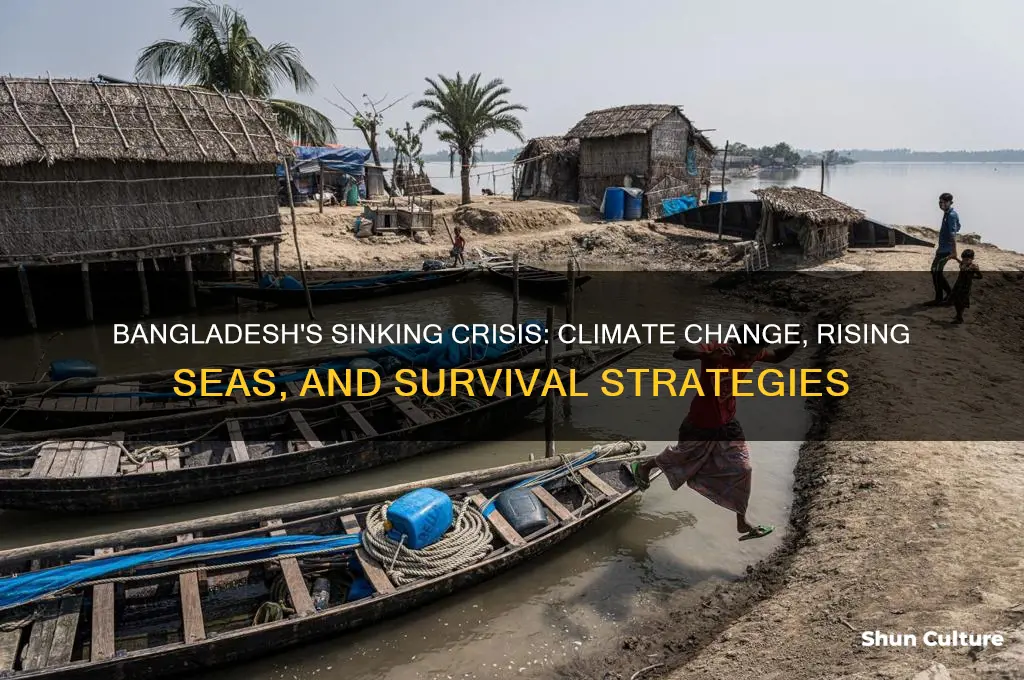 will bangladesh sink