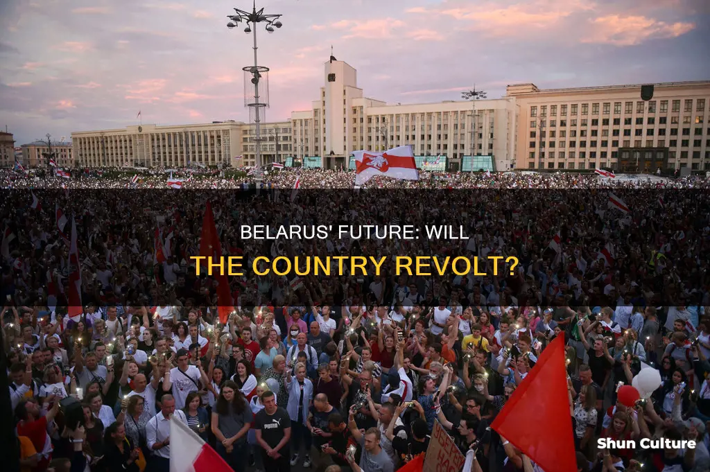 will belarus revolt