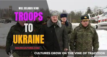 Belarus' Military Involvement in Ukraine: What We Know So Far