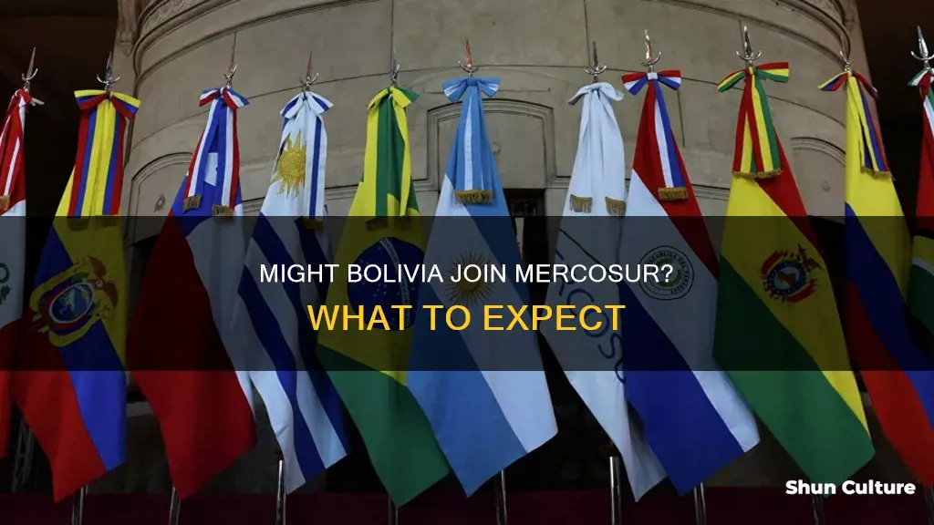 will bolivia join merosur