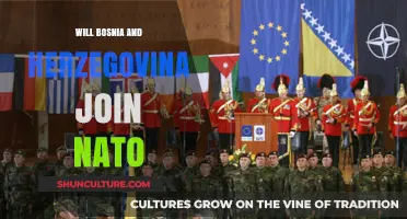Bosnia and Herzegovina's NATO Membership: Prospects, Challenges, and Geopolitical Implications