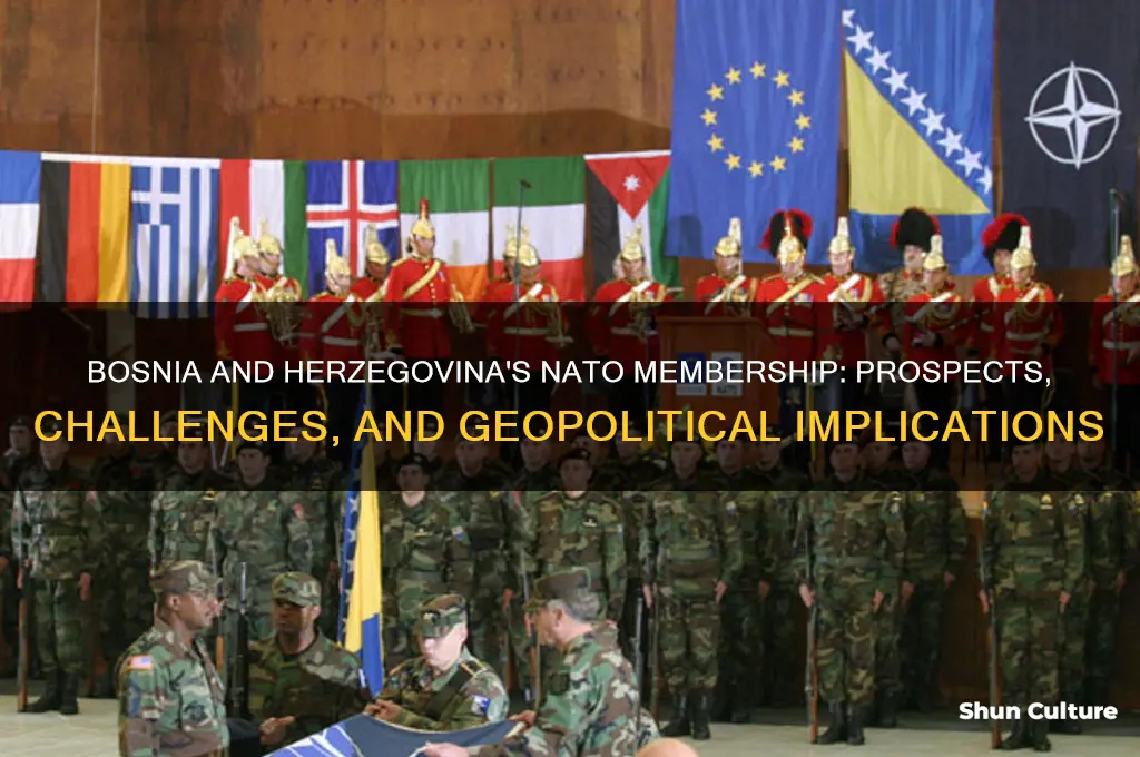 will bosnia and herzegovina join nato