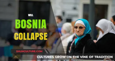Bosnia's Future: Risks of Collapse Amid Political and Ethnic Tensions