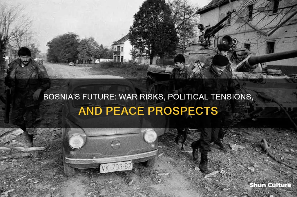 will bosnia go to war