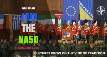 Bosnia's NATO Aspirations: Challenges and Prospects for Membership