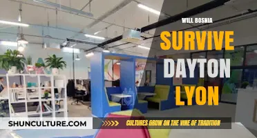 Bosnia's Future: Can Dayton Accords Ensure Survival Amidst Lyon Challenges?