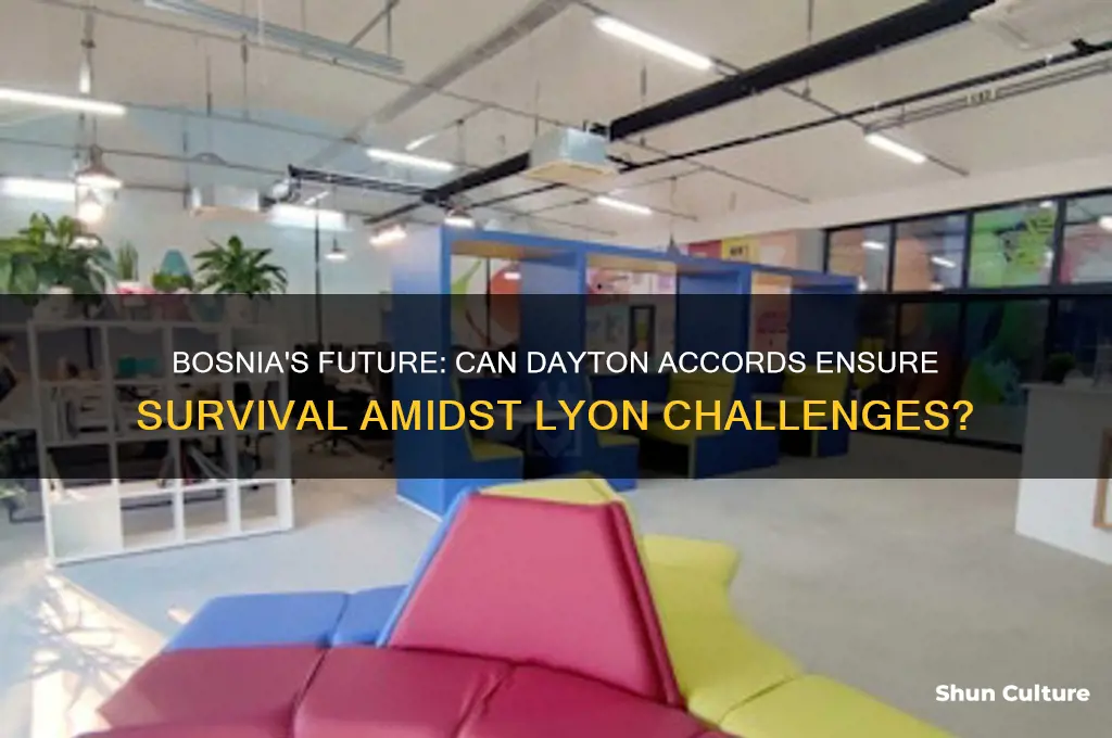 will bosnia survive dayton lyon