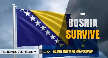 Bosnia's Future: Can Unity and Stability Prevail Amidst Challenges?