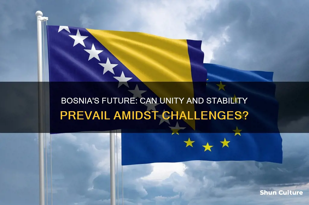 will bosnia survive